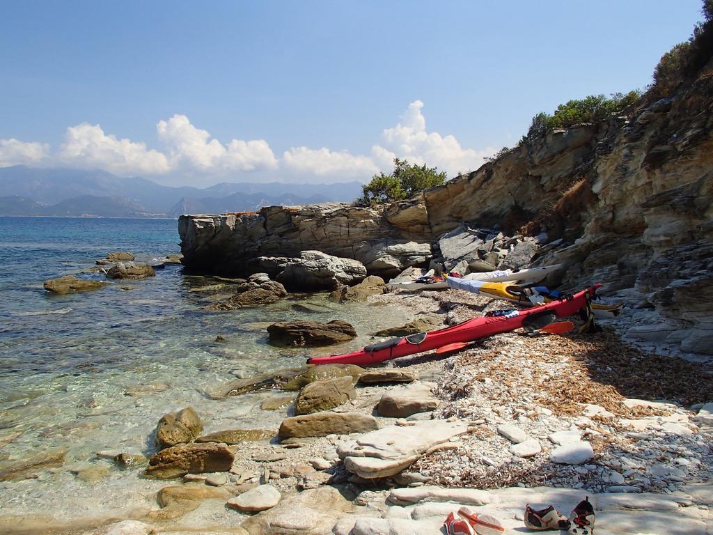 Location St Flo Leilighet Saint-Florent  Rom bilde
