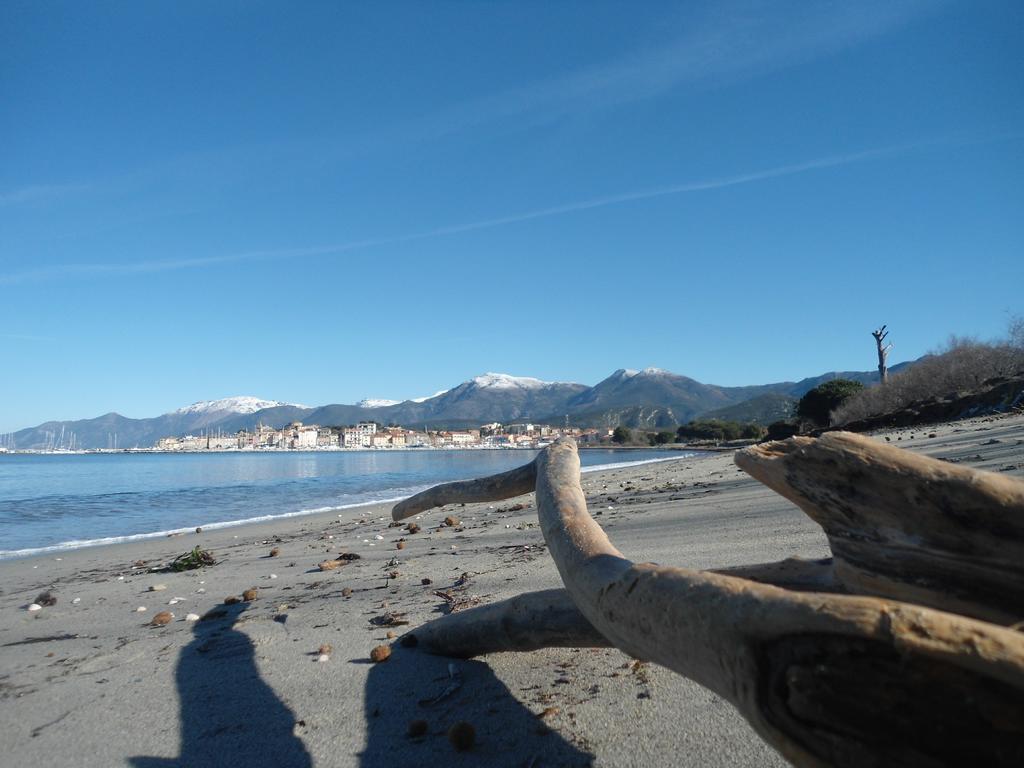 Location St Flo Leilighet Saint-Florent  Rom bilde